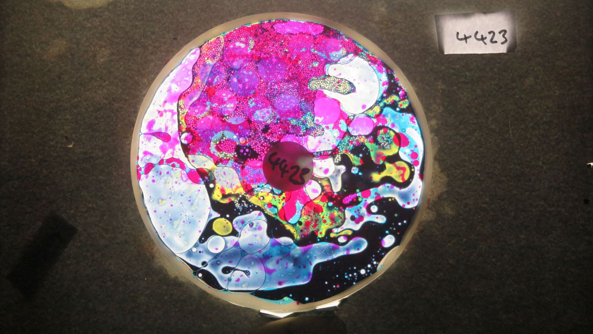 BV4423 bubble vision oil wheel